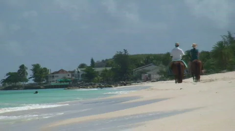 Horseback Beach Stock Footage 476011