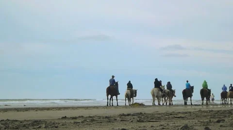 Horseback on Beach Stock Footage 11239033