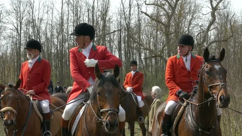 Horseback fox hunting. Mounted hunt followers wearing traditional red coats. Stock Footage