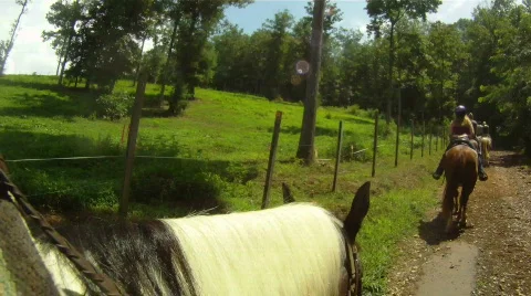 Horseback in the Hills Stock Footage 857709