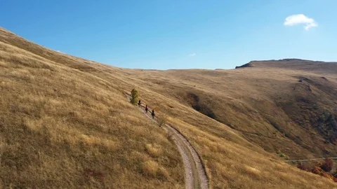 Horseback mountain riding Stock Footage 119383933