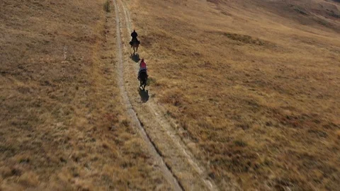 Horseback mountain riding Stock Footage 119386032