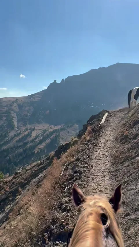 Horseback on a mountain trail Stockbeeldmateriaal 291353861