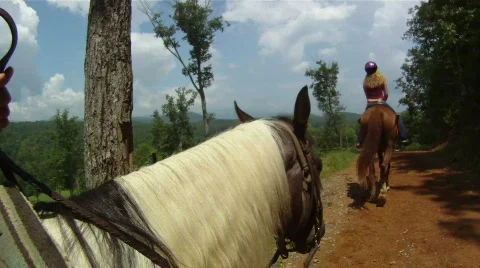 Horseback in the Mountains Stock Footage 857669