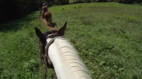 Horseback POV Stock Footage 857542