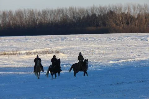 Horseback Rding in Winter Canada Stock Photos