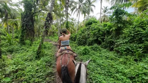 Horseback Rider Navigating Dense Palm Forest Trail Stock Footage 342571371