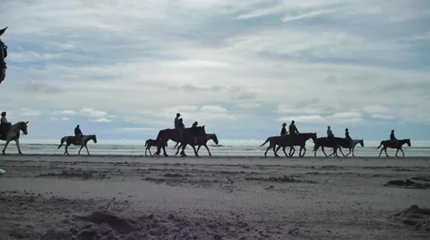 Horseback Riders on the Beach Video stock 11239022