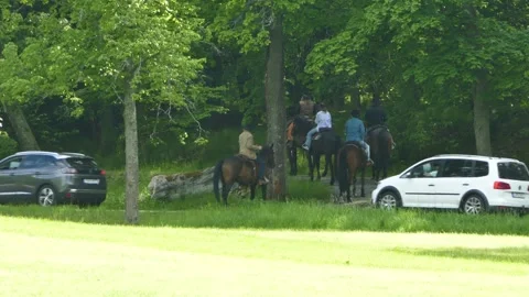Horseback riders enter a forest trail in Djurgården as cars pass by Stock Footage 320744232