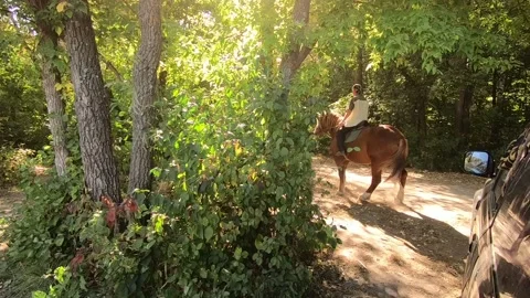 Horseback riding along the river. Stock-Footage 140094633