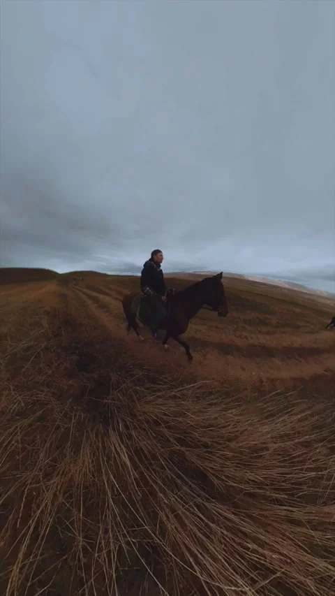 Horseback riding on camera 360 스톡 동영상 273137113