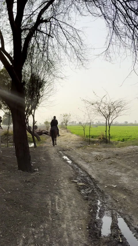 Horseback Riding on a Dirt Path Through Green Farmland Stock Footage 323601675