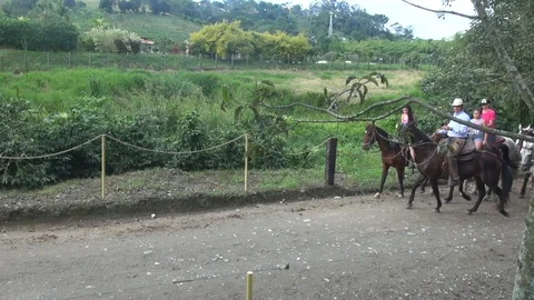 Horseback riding excursion Vídeos de archivo 103618379