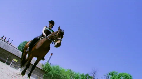 Horseback riding Video stock 706957