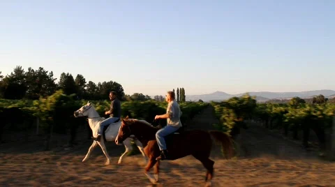 Horseback Riding Stock Footage 846447