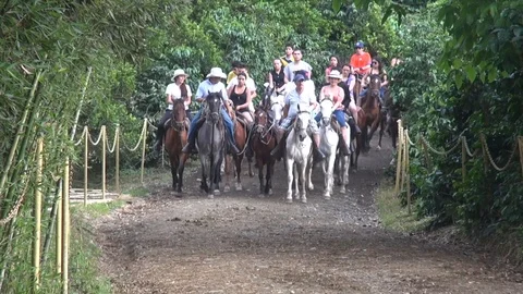 Horseback riding Vídeos de archivo 103618441