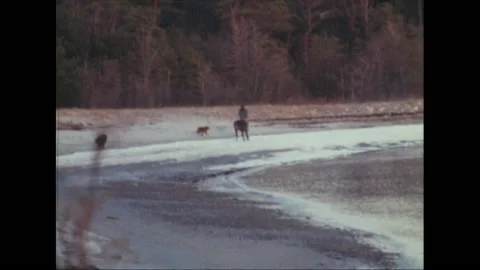 Horseback Riding Stock Footage 135188778