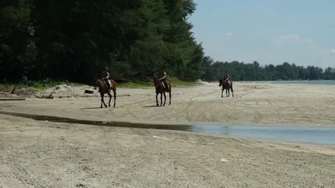 Horseback Riding Stock Footage 202297748