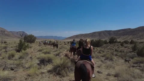 Horseback Riding in the Grand Canyon with Audio. Stock Footage