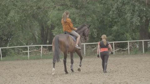 Horseback riding lessons Video stock 66682891
