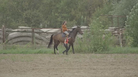 Horseback riding lessons Stockbeeldmateriaal 66683471