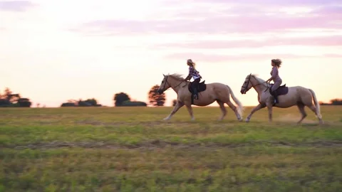 Horseback riding in open field at sunset Stock Footage 224850164