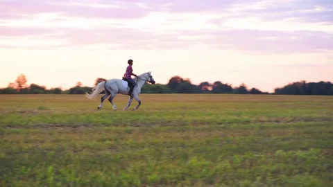 Horseback riding in open field at sunset Stock Footage 224855108