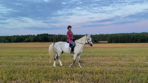 Horseback riding in an open field at sunset time Stock Footage 224855976