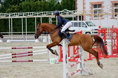 Horseback riding Stock Photos