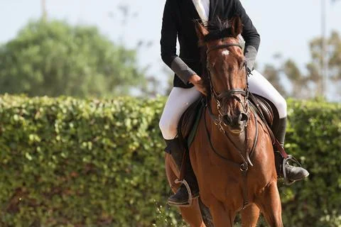 Horseback riding Stock Photos