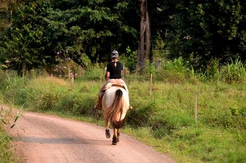 Horseback riding Stock Photos