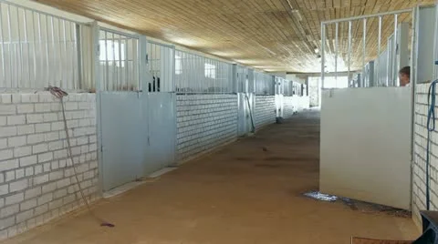 Horseback Riding Preparation. Beginning Video stock 22288369