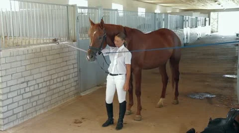 Horseback Riding Preparation Stock-Footage 22288729
