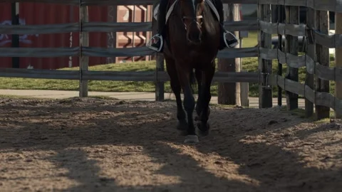 Horseback Riding School Scene - Girl Practices With Focus Stock Footage 309681453