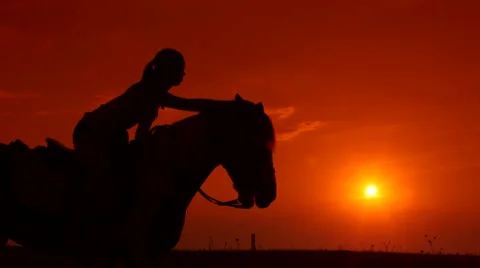 horse and rider silhouette sunset