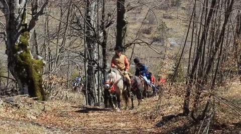 Horseback riding thru the forest Stock Footage 55222648