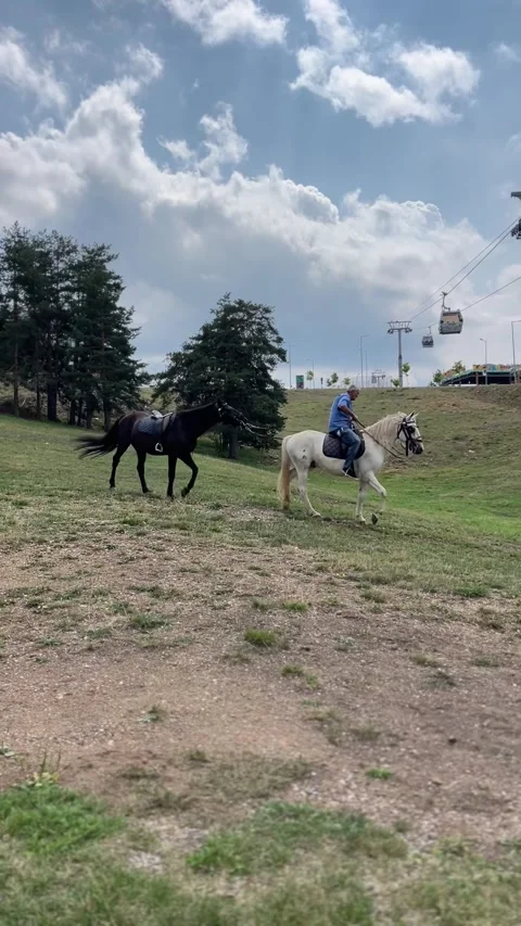 Horseback Riding with Two Horses Under Gondola Lift in Zlatibor Mountains 4K 스톡 동영상 342263299