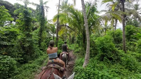 Horseback Riding Under Tall Coconut Palms in Jungle Stock Footage 342571332