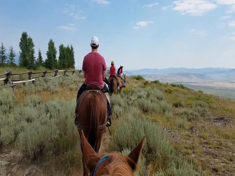 Horseback Trail Stock-Footage 80260237