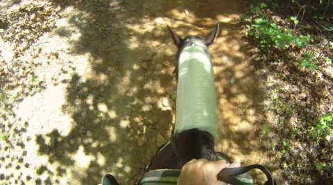 Horseback Trail Riding Stock Footage 857505