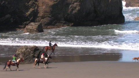 Horsebeach1 Stock-Footage 719315