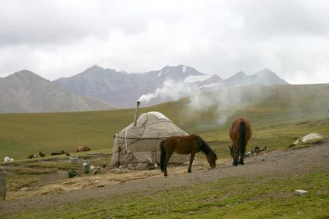 The Horsecar in mountain. Stock Photos