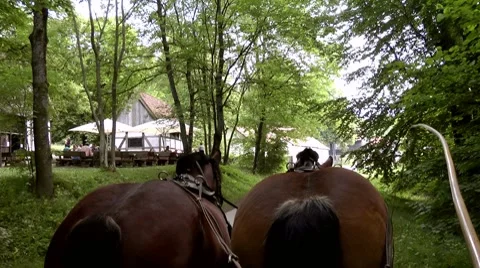 Horsedrawn Stock Footage 8577250
