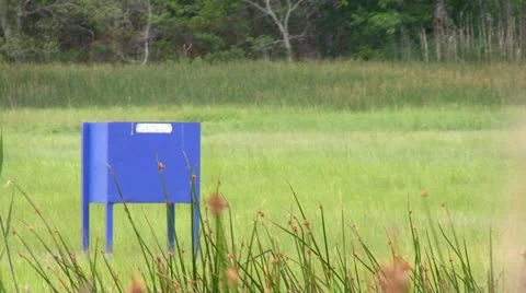 Horsefly trap in marsh; 2 Stock Footage 12211798