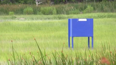 Horsefly trap in marsh Stock Footage 12211764