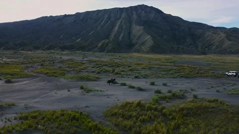 Horseman in bromo mountain 動画素材 177300451