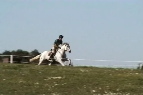 Horseman Vidéo 111158