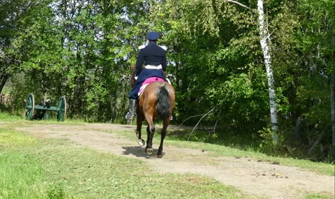 Horseman 스톡 동영상 107867170