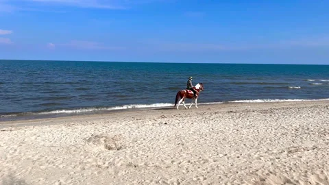 Horseman Stock Footage 165753802