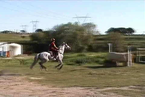Horseman jumping  Stock Footage 109408